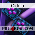 Cidala 03